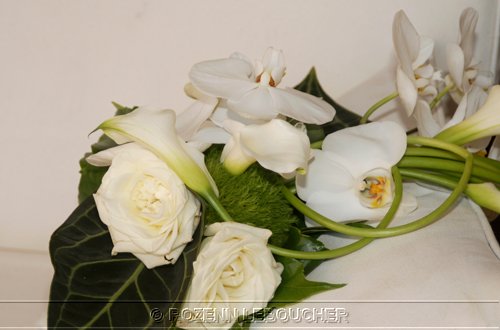 Photos mariage/ Wedding